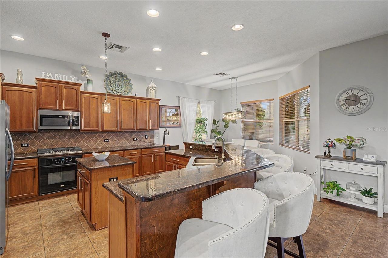 3038 Marble Crest Drive, Land O Lakes, FL 34638 Photo