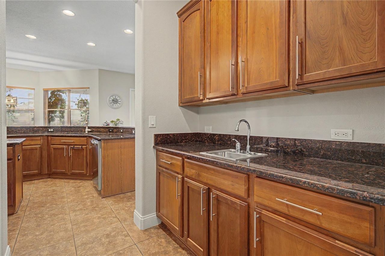 3038 Marble Crest Drive, Land O Lakes, FL 34638 Photo