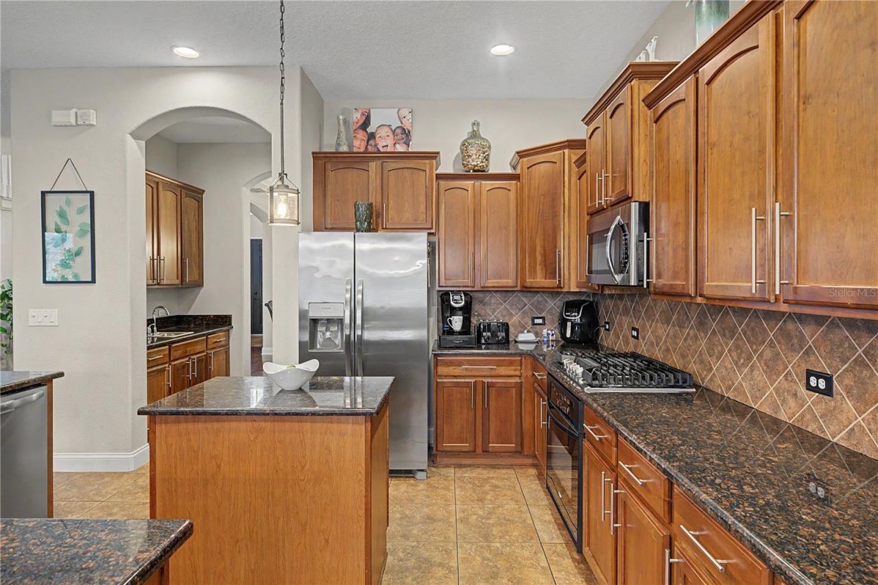 3038 Marble Crest Drive, Land O Lakes, FL 34638 Photo