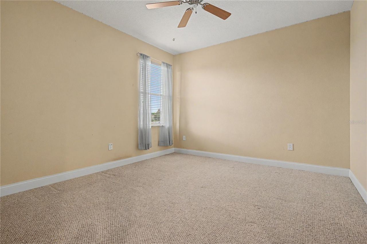 3038 Marble Crest Drive, Land O Lakes, FL 34638 Photo