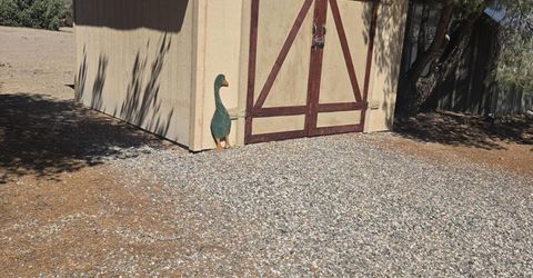 3840 Granite Way, Wellington, NV 89444 Photo