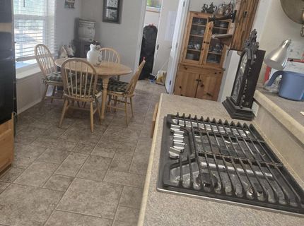 3840 Granite Way, Wellington, NV 89444 Photo