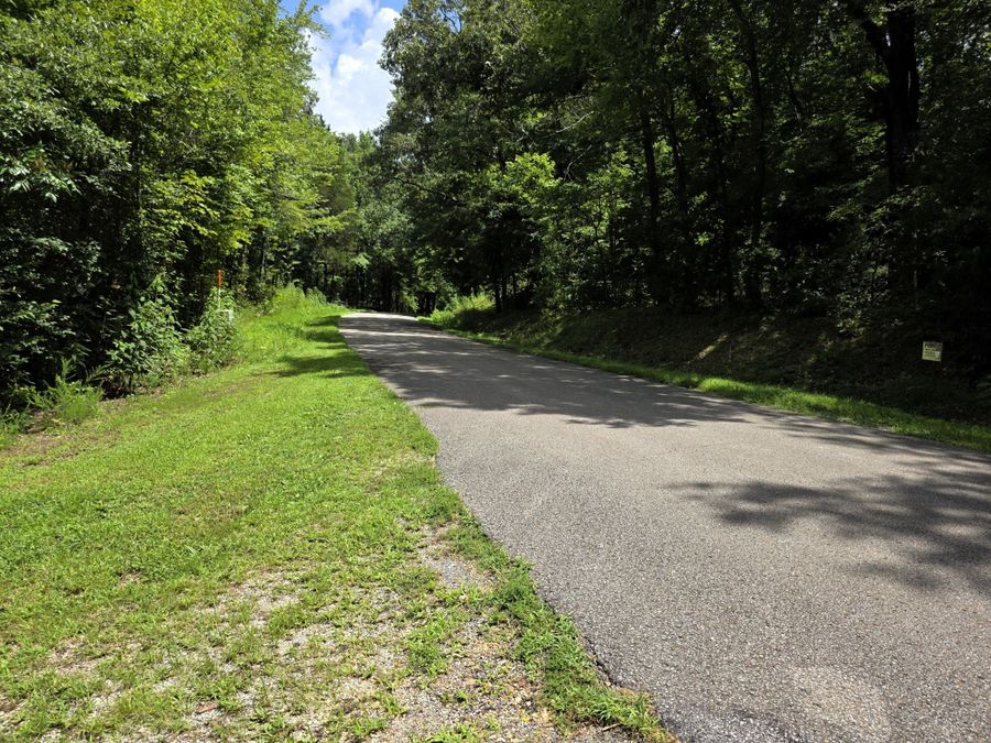 Property Image 31