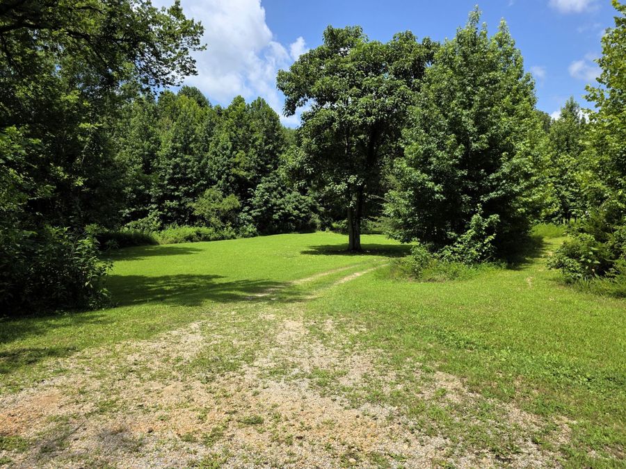 Property Image 34