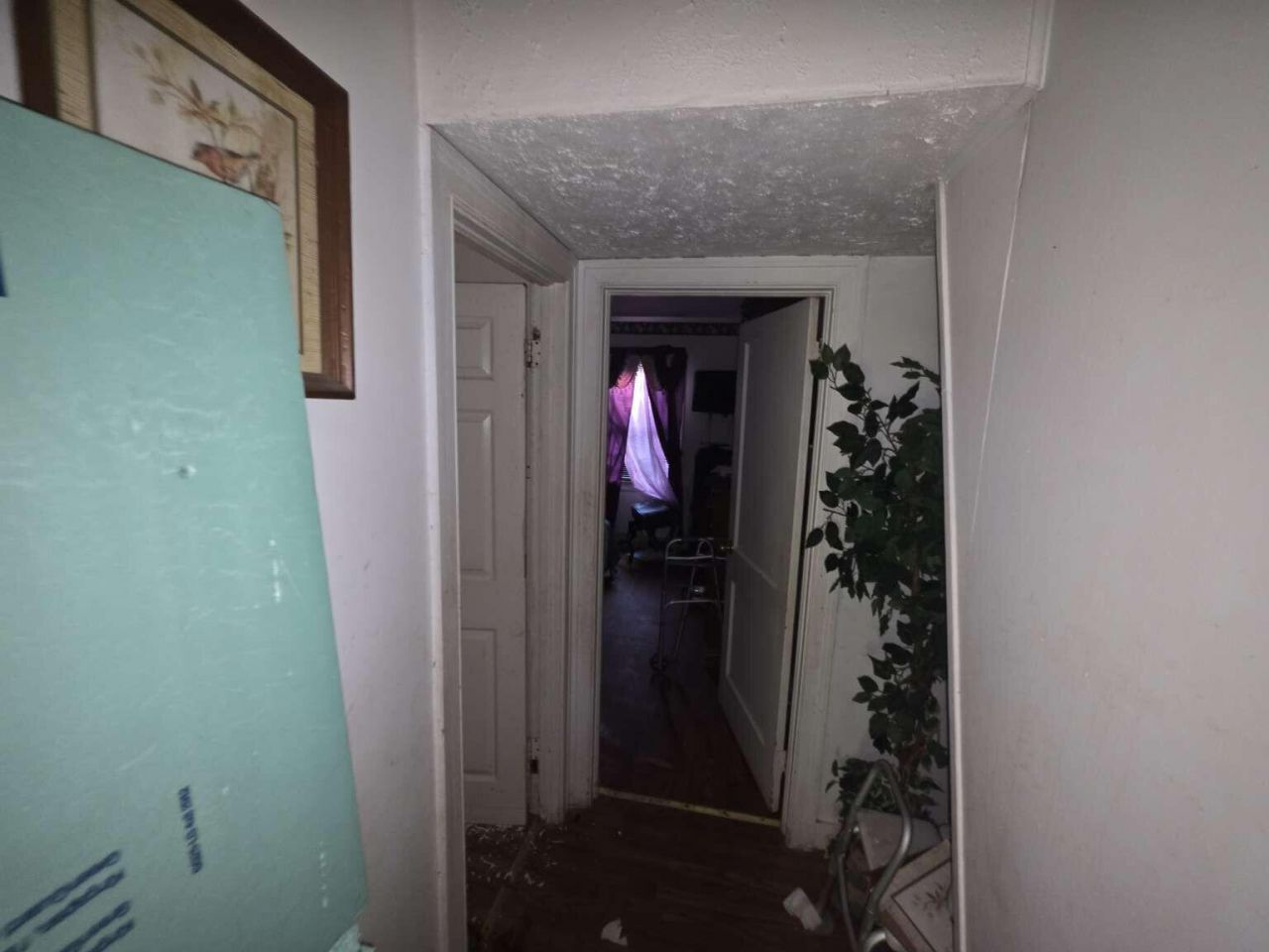 9 Kenilworth Avenue Photo 11