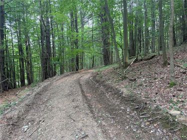 0 Ringwood Road , Freeville, NY 13068