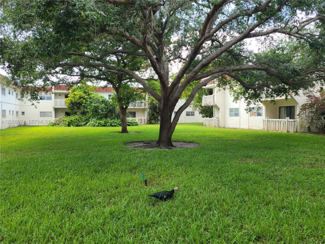 4165 SW 67th Ave , Unit 112B, Davie, FL 33314 Photo