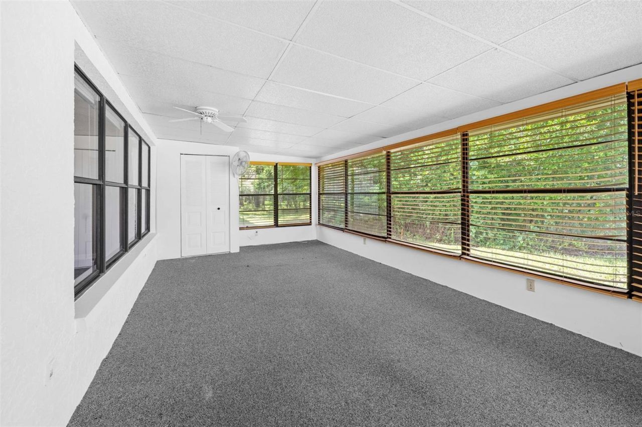 11613 Pear Tree Drive , New Port Richey, FL 34654 Photo