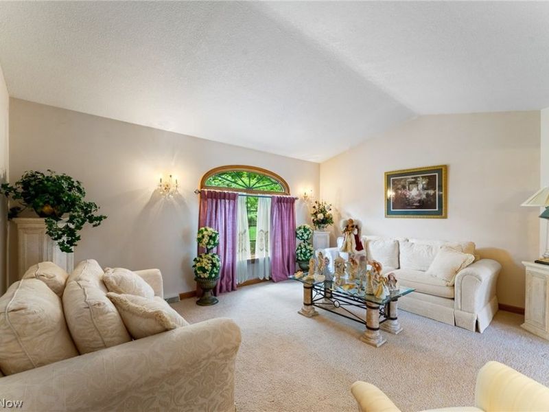 5201 S Saratoga Avenue, Austintown, OH 44515 Photo 7
