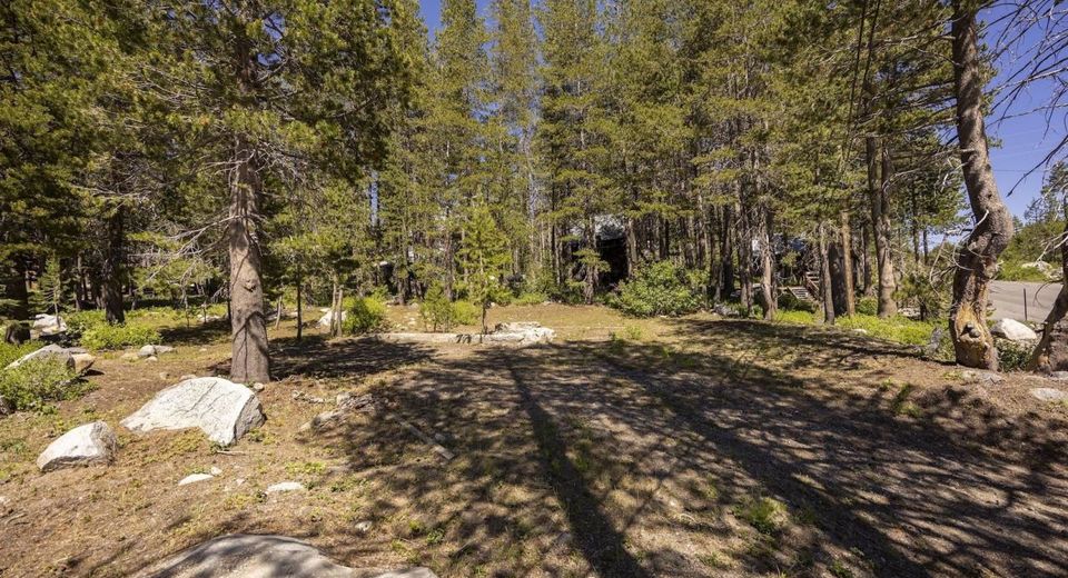 21674 Donner Pass Road , Soda Springs, CA 95728 Photo