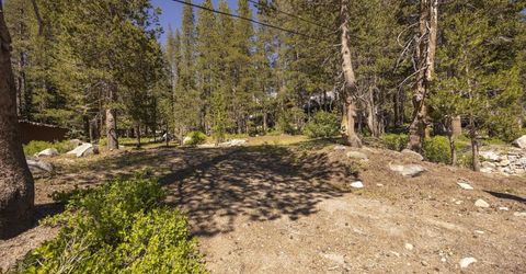 21674 Donner Pass Road , Soda Springs, CA 95728 Photo