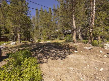 21674 Donner Pass Road , Soda Springs, CA 95728 Photo
