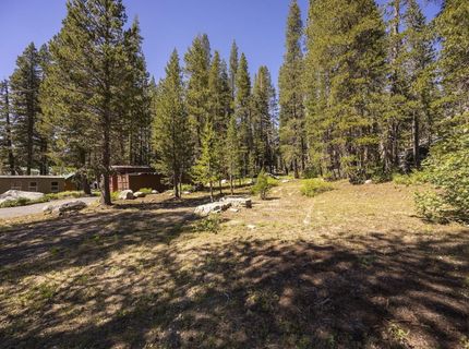 21674 Donner Pass Road , Soda Springs, CA 95728 Photo