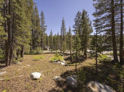 21674 Donner Pass Road , Soda Springs, CA 95728 Photo