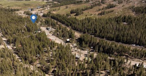 21674 Donner Pass Road , Soda Springs, CA 95728 Photo