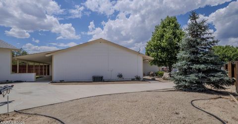 810 Brandy Court, Dayton, NV 89403 Photo