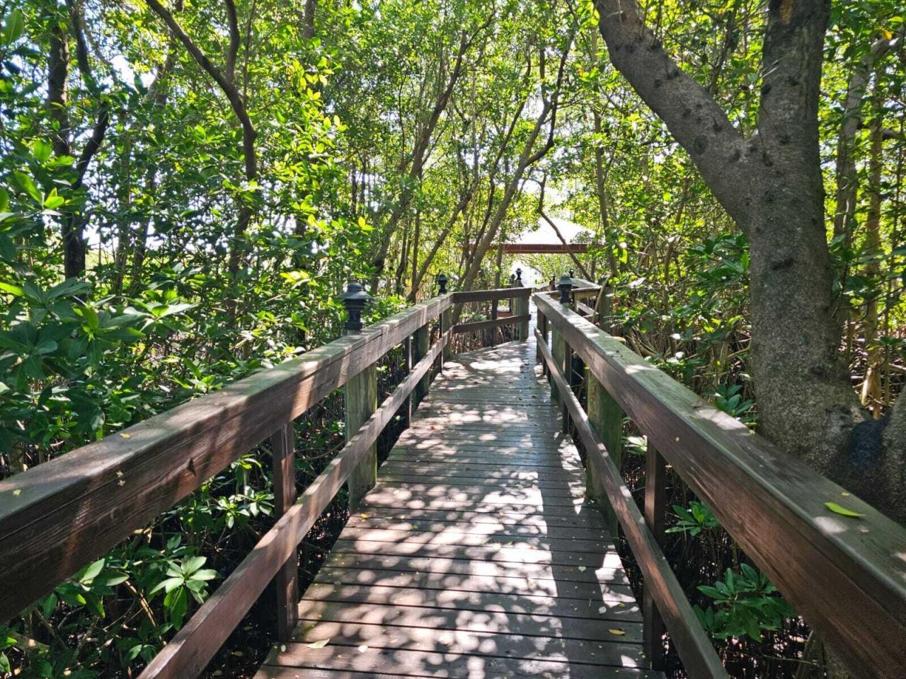 8289 SE Pilots Cove Terrace, Hobe Sound, FL 33455 Photo