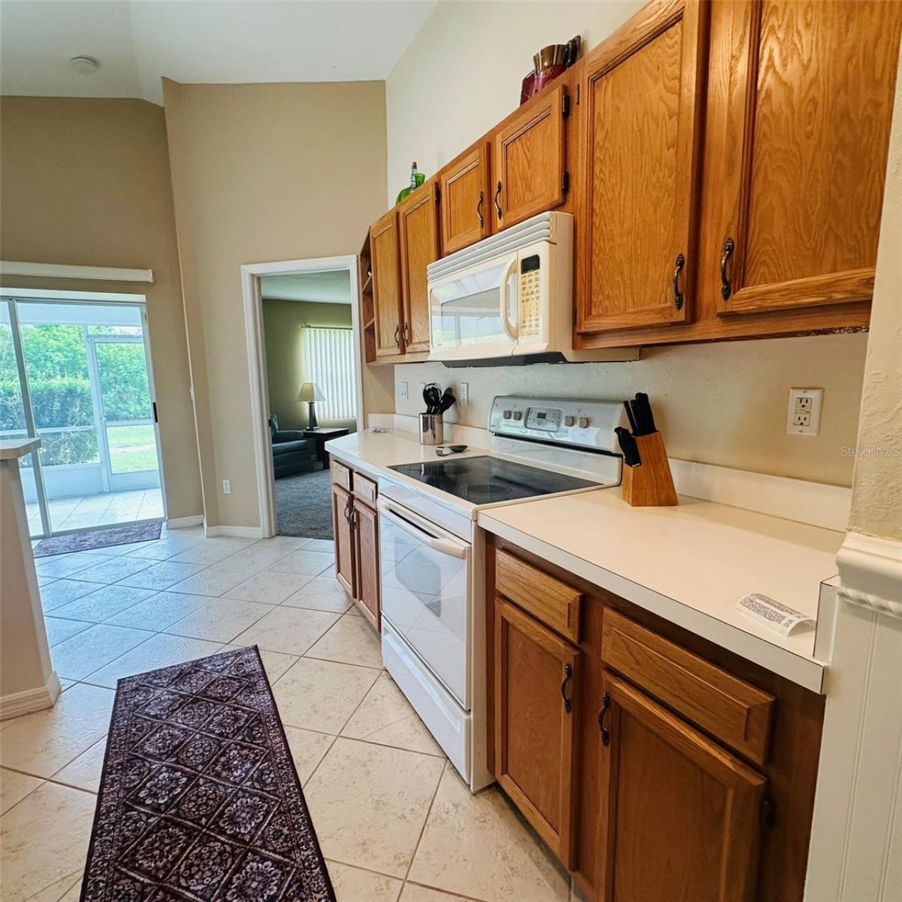 13412 SW Pembroke Circle N, Lake Suzy, FL 34269 Photo