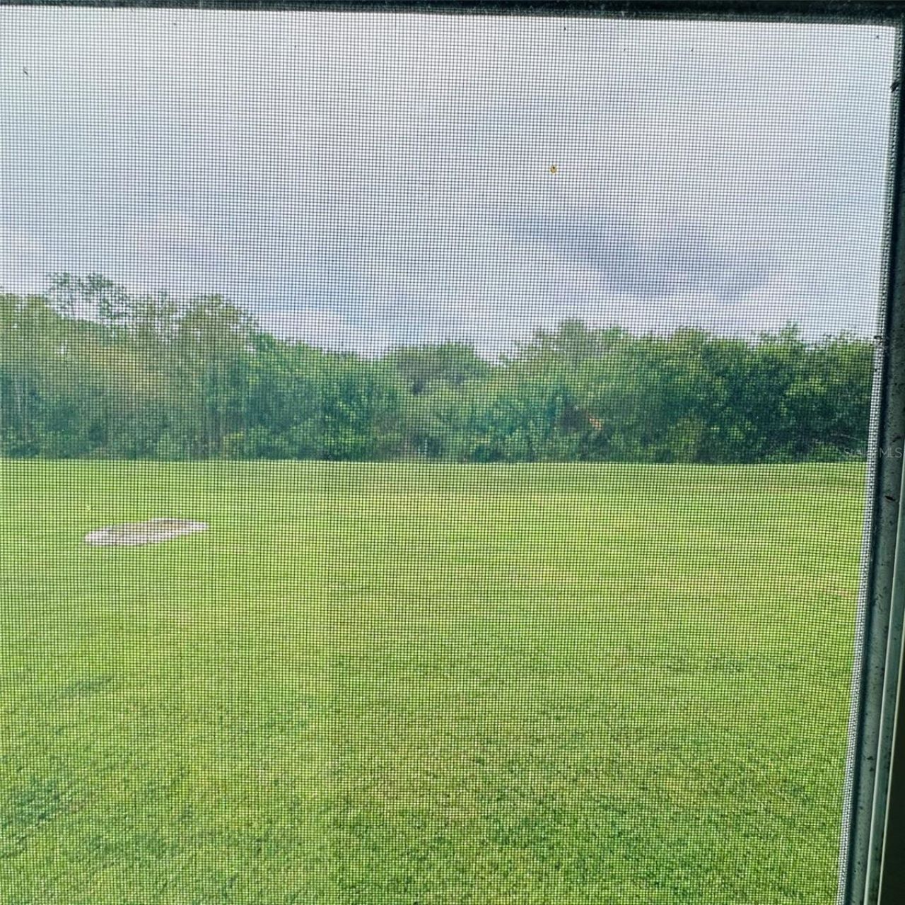 13412 SW Pembroke Circle N, Lake Suzy, FL 34269 Photo
