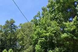 275 Boney Road  photo 4