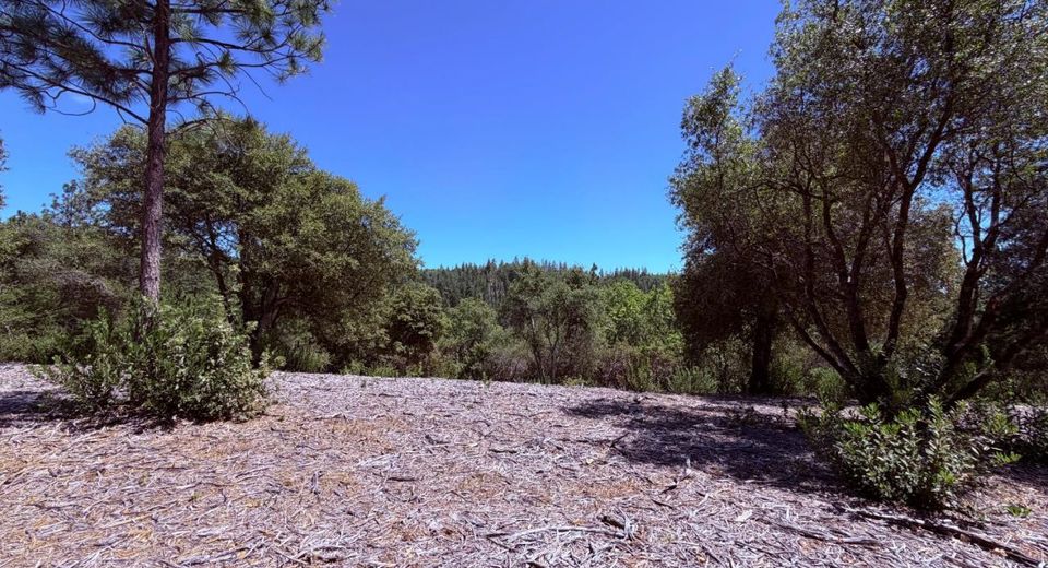 10-acres Big Oak Ct, Placerville, CA 95667 Photo