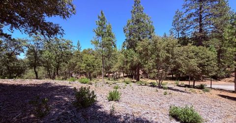 10-acres Big Oak Ct, Placerville, CA 95667 Photo