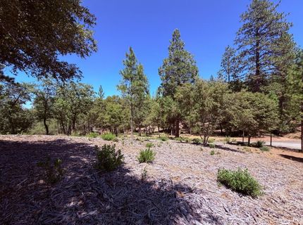 10-acres Big Oak Ct, Placerville, CA 95667 Photo