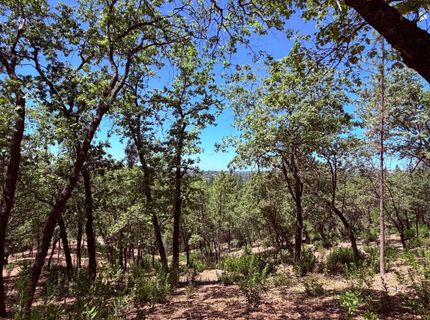 10-acres Big Oak Ct, Placerville, CA 95667 Photo