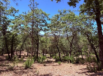 10-acres Big Oak Ct, Placerville, CA 95667 Photo