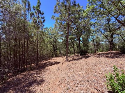 10-acres Big Oak Ct, Placerville, CA 95667 Photo
