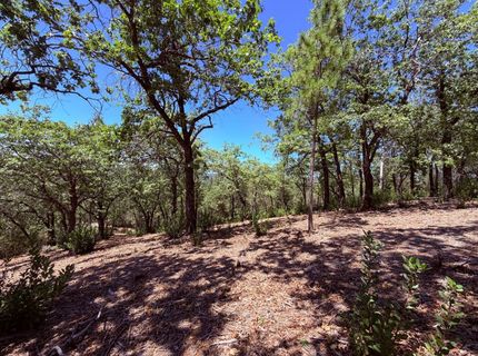 10-acres Big Oak Ct, Placerville, CA 95667 Photo