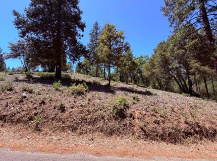 10-acres Big Oak Ct, Placerville, CA 95667 Photo