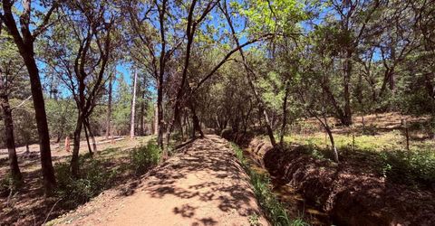 10-acres Big Oak Ct, Placerville, CA 95667 Photo