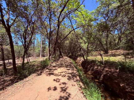 10-acres Big Oak Ct, Placerville, CA 95667 Photo