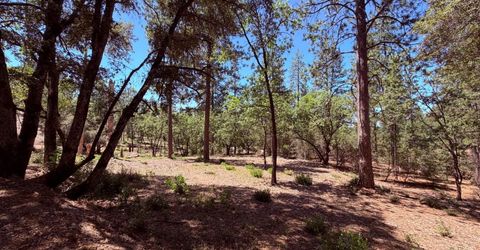 10-acres Big Oak Ct, Placerville, CA 95667 Photo