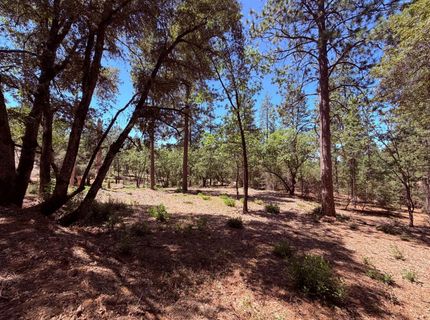 10-acres Big Oak Ct, Placerville, CA 95667 Photo