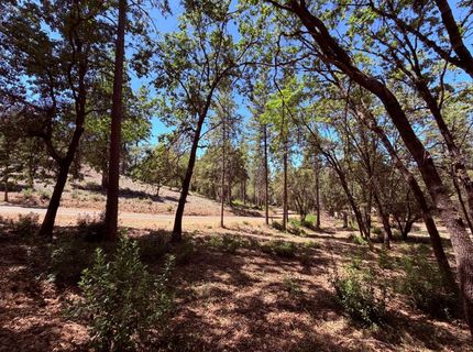 10-acres Big Oak Ct, Placerville, CA 95667 Photo