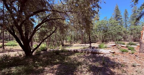 10-acres Big Oak Ct, Placerville, CA 95667 Photo