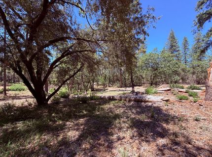 10-acres Big Oak Ct, Placerville, CA 95667 Photo