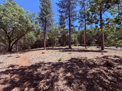 10-acres Big Oak Ct, Placerville, CA 95667 Photo