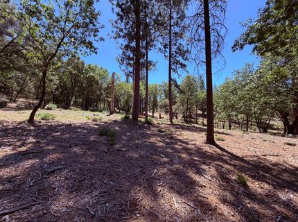 10-acres Big Oak Ct, Placerville, CA 95667 Photo