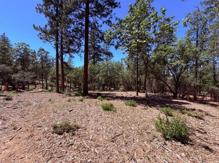 10-acres Big Oak Ct, Placerville, CA 95667 Photo