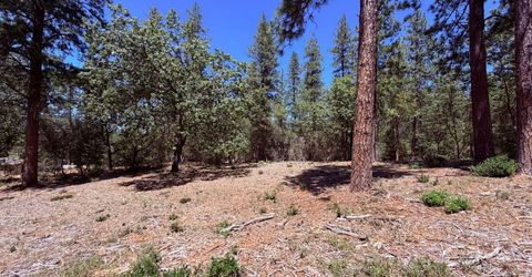 10-acres Big Oak Ct, Placerville, CA 95667 Photo
