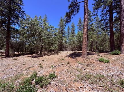 10-acres Big Oak Ct, Placerville, CA 95667 Photo