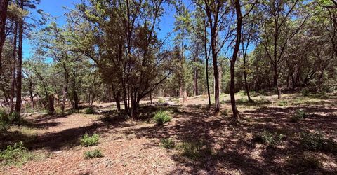 10-acres Big Oak Ct, Placerville, CA 95667 Photo