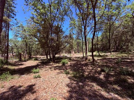 10-acres Big Oak Ct, Placerville, CA 95667 Photo
