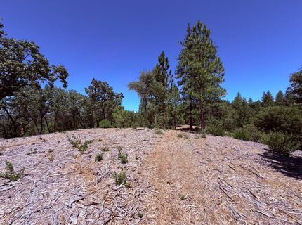 10-acres Big Oak Ct, Placerville, CA 95667 Photo