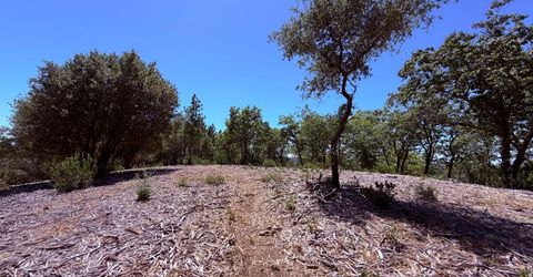 10-acres Big Oak Ct, Placerville, CA 95667 Photo