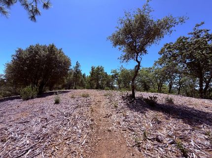 10-acres Big Oak Ct, Placerville, CA 95667 Photo