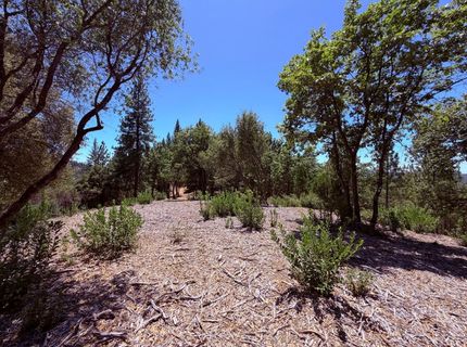 10-acres Big Oak Ct, Placerville, CA 95667 Photo